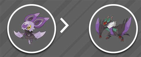Noivern Evolution Line