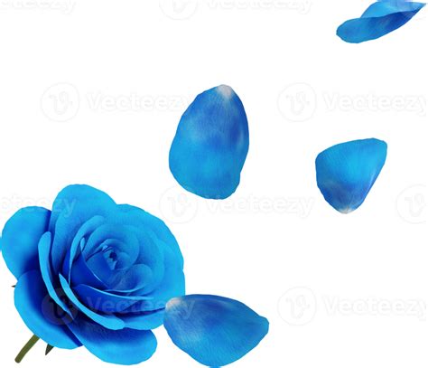 falling blue rose petals 46790661 PNG