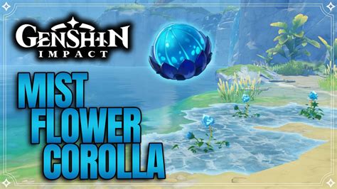 Mist Flower Corolla Farming Route Genshin Impact Youtube