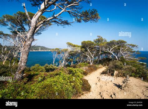 Hinking On The Sentier Du Littoral On The Presqu Le De Giens France