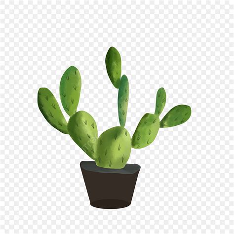 Nopales Png Vector Psd And Clipart With Transparent Background For