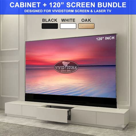 BUNDLE VIVIDSTORM Motorised Cabinet Monte Carlo Screen Package Deal