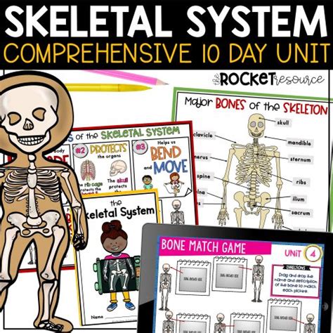 Skeletal System Complete Unit Skeletal System Labeling Bones Body