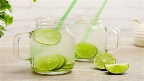 Lemonade Diet Pros and Cons - Nutrineat