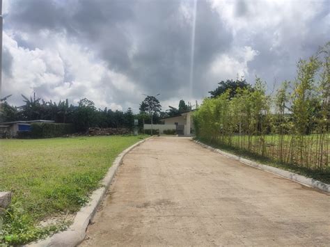 300 Sqm Farm Lot For Sale In Amadeo Cavite Near Tagaytay Lots June