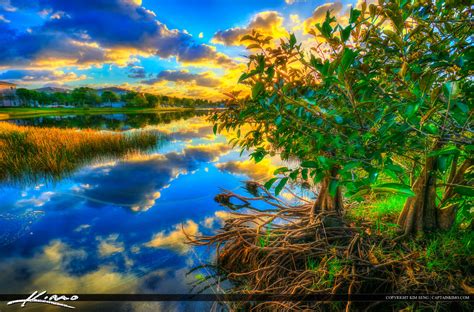 Sunrise Palm Beach Gardens Pond Apple Tree At Lake HDR Photography By