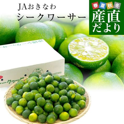 沖縄県から産地直送 Jaおきなわ シークワーサー 約2キロ 約100玉前後 シークァーサー 送料無料 1239882122産直だより