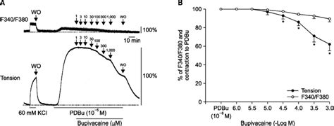 A Effects Of Bupivacaine On The Phorbol Dibutyrate Pdbu