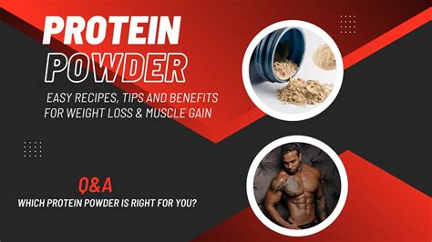 Unlocking The Power Of Protein Powder Easy Recipes Tips And Benefits