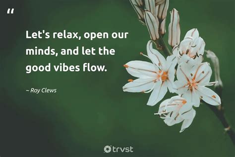 76 Good Vibes Quotes To Keep The Positivity Flowing 2024