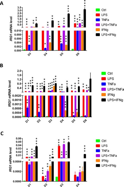 Irg Expression In Human Immune Cells Under Pro Inflammatory