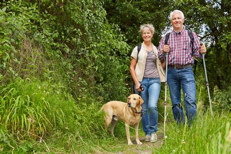 O Se Promener En Centre Ville Avec Un Chien