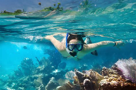 Catalina Island Snorkeling: Guided Snorkel Tour