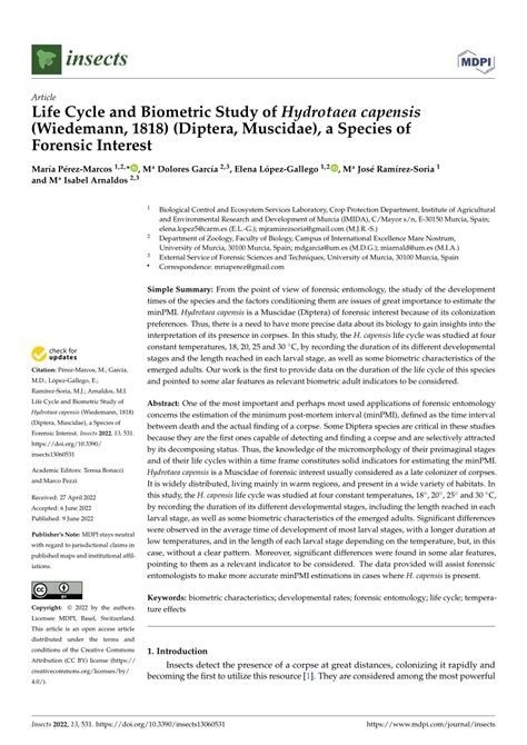 (PDF) Life Cycle and Biometric Study of Hydrotaea capensis (Wiedemann ...