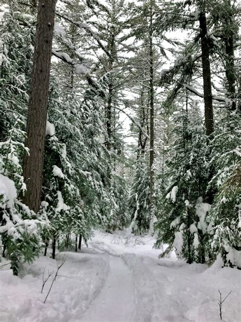 Breaking Free- Snowshoe Trail :: Minocqua Winter Park