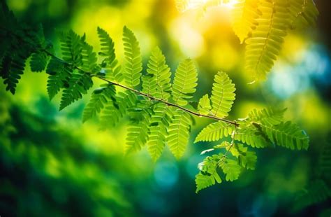 Un Fondo Verde Con Hojas Y Luz Solar Foto Premium