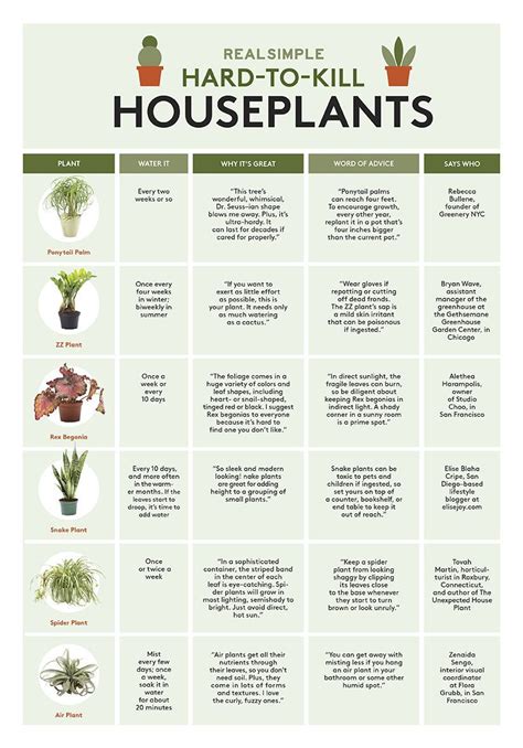 Houseplant Care Guide Printable