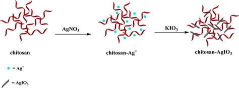 The Synthesis Process Of Chitosan Agio3 Bionanocomposite Download Scientific Diagram