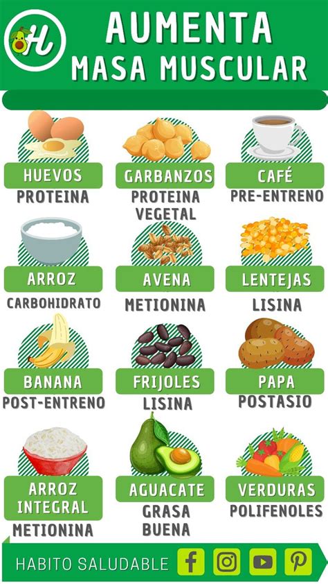 Aumentar Masa Muscular Comidas Altas En Prote Nas Alimentos