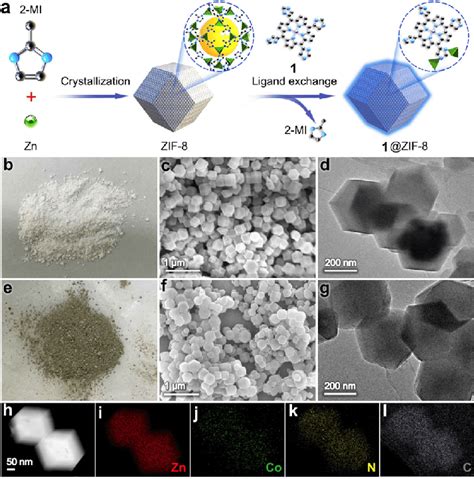 A Grafting 1 Onto ZIF 8 Via Ligand Exchange To Make 1 ZIF 8 B