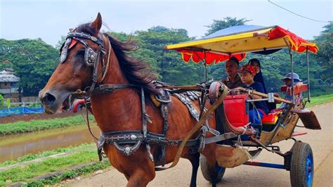 Kuda I Naik Kuda Delman Ondel Ondel Badut Joget Lagu Naik Delman Dan