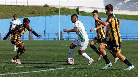 Palmeiras Vence Novorizontino E Avan A Para A Final Do Paulista Sub