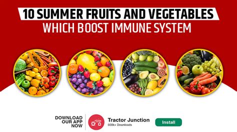 10 Summer Fruits And Vegetables Which Boost Immune System