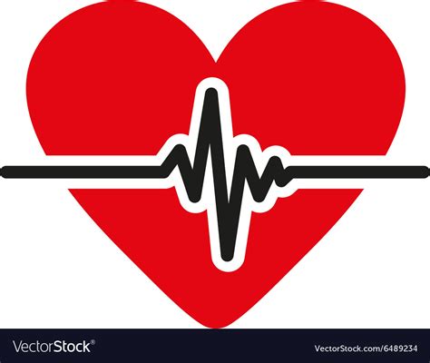 Heart Icon Cardiology And Cardiogram Ecg Vector Image