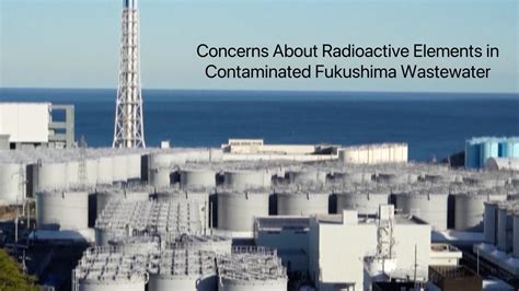 Concerns About Radioactive Elements In Contaminated Fukushima