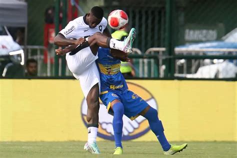 Fabio Matias Valoriza Base Do Botafogo Após Vitória Sobre Sampaio