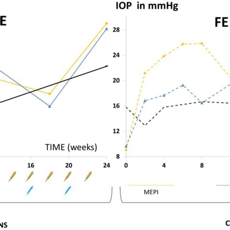 Intraocular Pressure Curves Right Eyes In Two Models Of Chronic