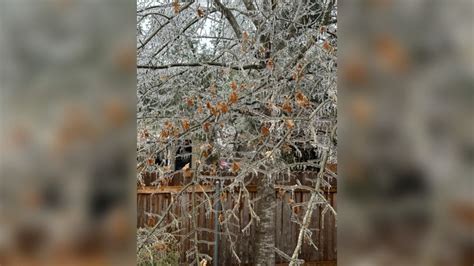 Death toll rises, power outages skyrocket as relentless ice storm ...