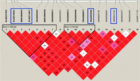 Linkage Disequilibrium Ld Plot Of The 266 Kb Region Where Markers