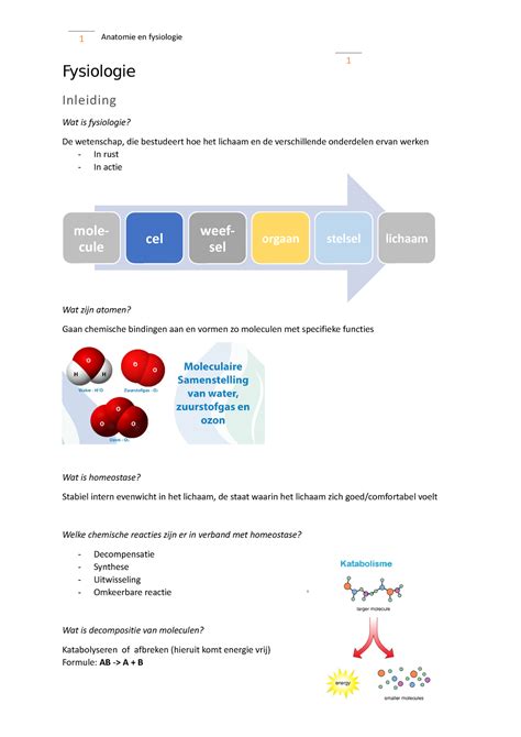 Fysiologie Anatomie En Fysiologie Fysiologie Inleiding Wat Is