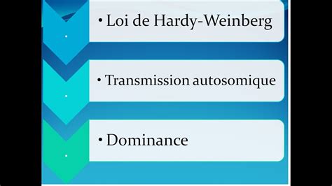 Cours G N Tique Des Populations Loi De Hardy Weinberg Avril