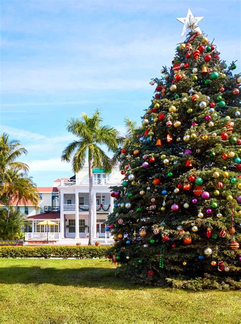 Pictures From Florida Style Christmas