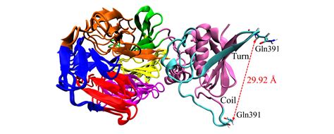 How do the mutations in PfK13 protein promote anti-malarial drug ... 