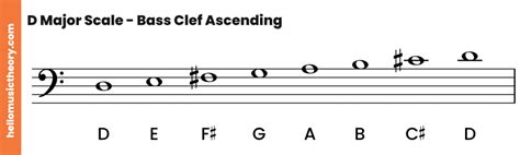 D Major Scale A Complete Guide