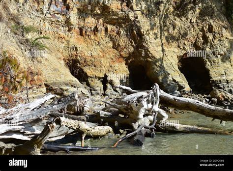 Stranded Deep Clay Deposit Locations