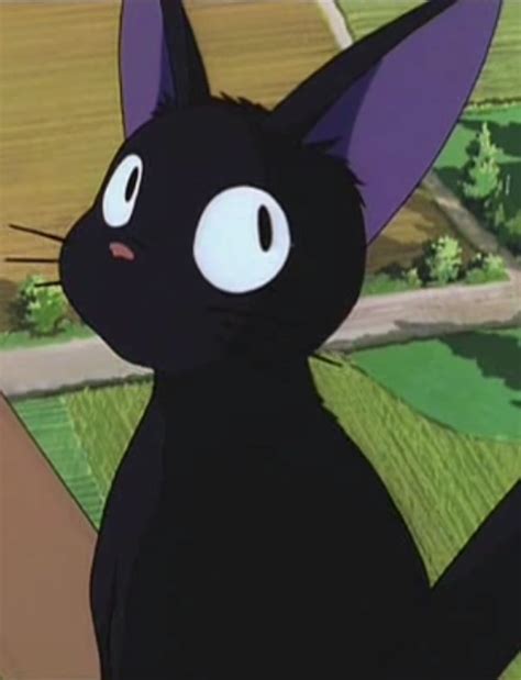 Jiji Is Kikis Pet Cat And Her Closest Companion In The Film Kikis