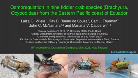 Pdf Osmoregulation In Nine Fiddler Crab Species Brachyura