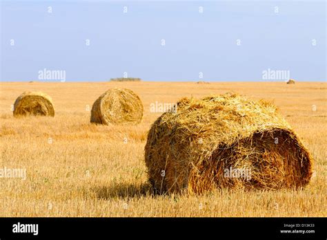 Rural Landscape With Straw Rolls Stock Photo Alamy