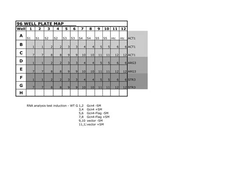 Free Printable Well Plate Templates Excel Pdf Word Editable