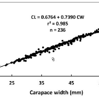 Relationships Between Maximum Carapace Width Cw Max And Latitude