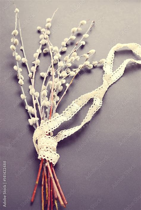 Easter Concept Black Background Pussy Willow Vintage Style Stock Photo Adobe Stock