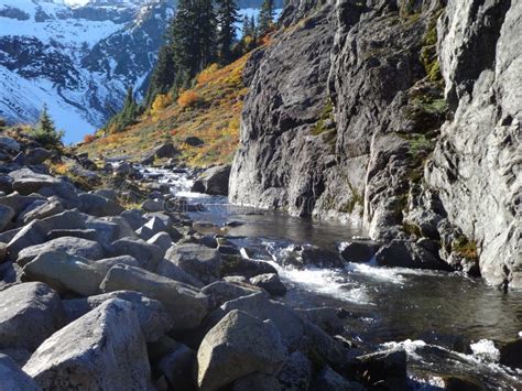 Alpine Stream Late Fall Scene Stock Photo Image Of Conservation