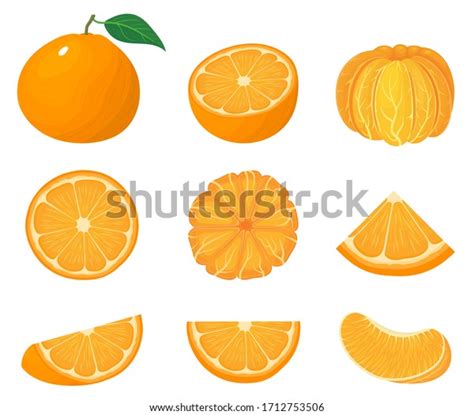 Set Fresh Whole Half Cut Slice Stock Vector Royalty Free 1712753506