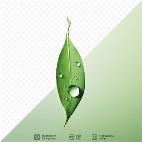 A Green Leaf With Water Drops On It Premium Ai Generated Psd