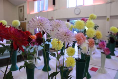 Wroughton Annual Autumn Show National Dahlia Society