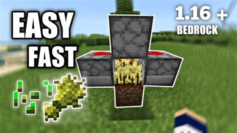 Easy Automatic Wheat Farm 116 Minecraft Bedrock Edition Pe Mcpe